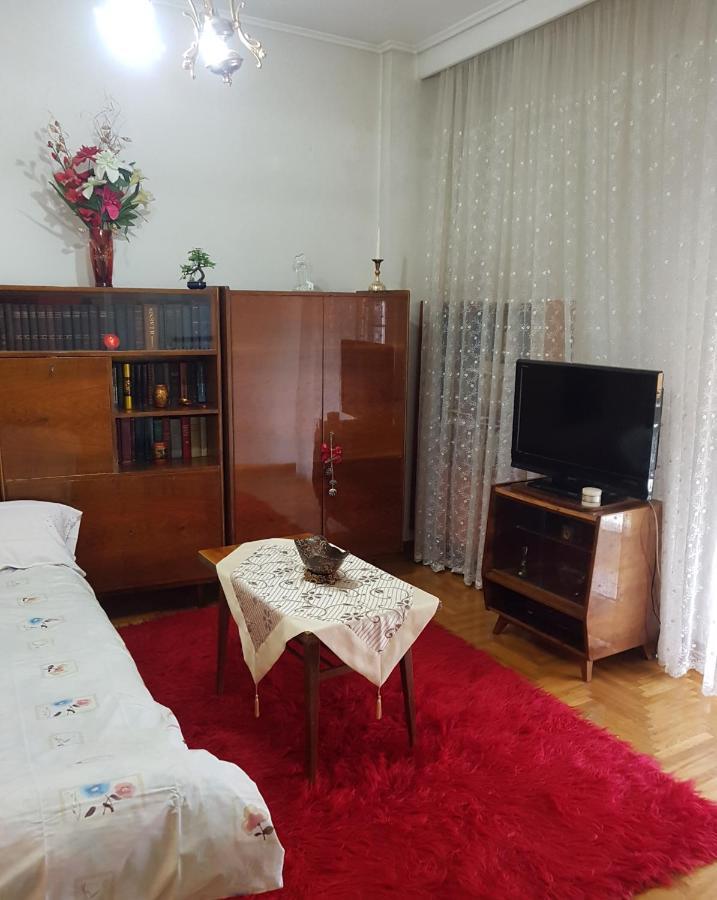 Goodbye, Lenin Apartamento Trikala  Exterior foto
